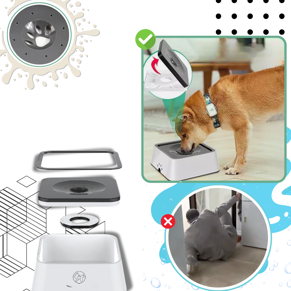 Splash-Free Water Bowl For Dogs - Ozerty